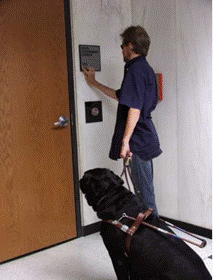 A blind person with a see and I dog standing by the door feeling the sign on the wall.