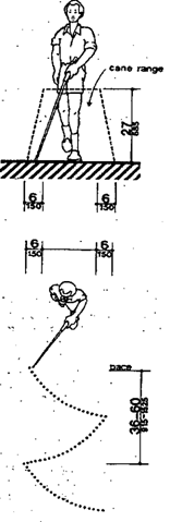 Cane Technique